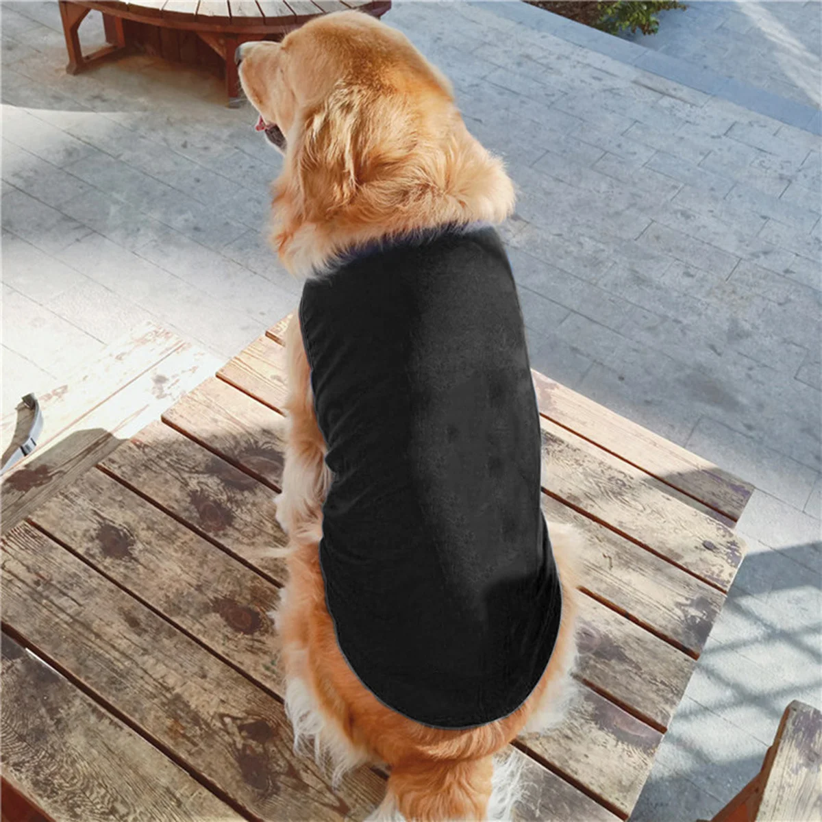 2Pcs Pet Dog Clothes Cotton Puppy Outfits Casual Coat for Outdoor Walking Jogging Daily Wear Comfortable Lightweight
2Pcs Pet Dog Clothes Cotton Puppy Outfits Casual Coat for Outdoor Walking Jogging Daily Wear Comfortable Lightweight