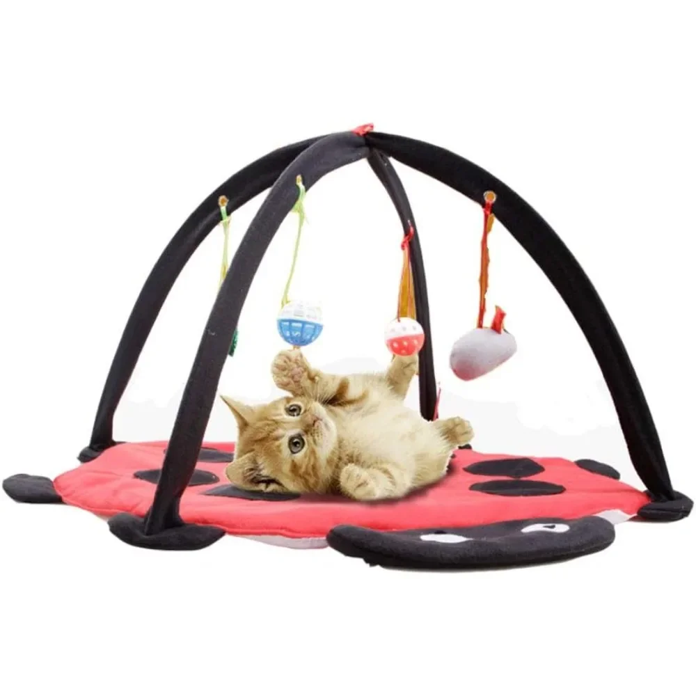 Cat Tent Activity Center with Hang Cat Toys Balls,Best Cat Bed Tent Kitten Mat Pet Supplies - Helps Cats Get Exercise
Cat Tent Activity Center with Hang Cat Toys Balls,Best Cat Bed Tent Kitten Mat Pet Supplies - Helps Cats Get Exercise