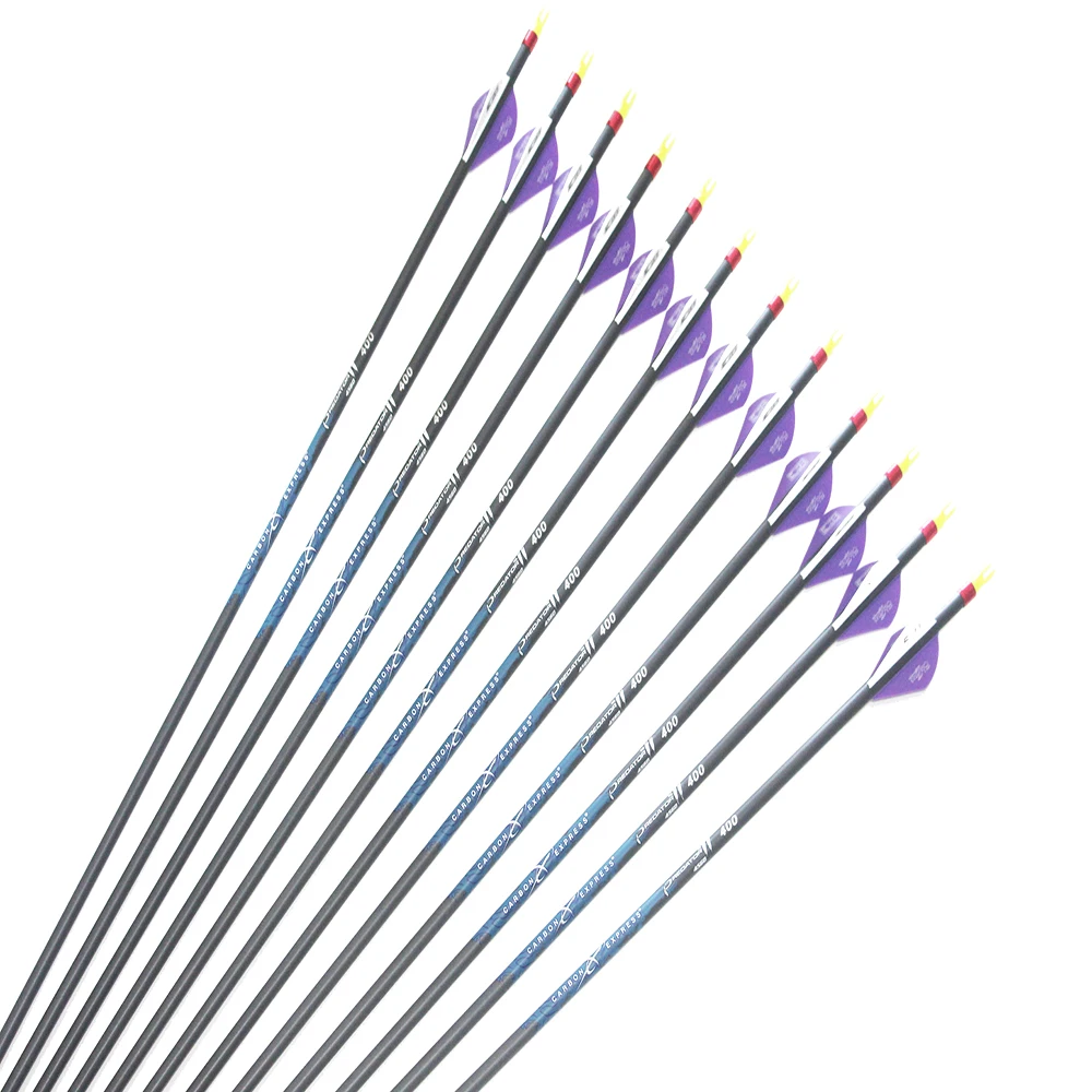 12pcs 30" Carbon Arrows ID6.2mm Spine250 300 340 400 500 600 2Inch Arrow Vane 100gr Arrowhead Compound Bow Hunting
12pcs 30" Carbon Arrows ID6.2mm Spine250 300 340 400 500 600 2Inch Arrow Vane 100gr Arrowhead Compound Bow Hunting