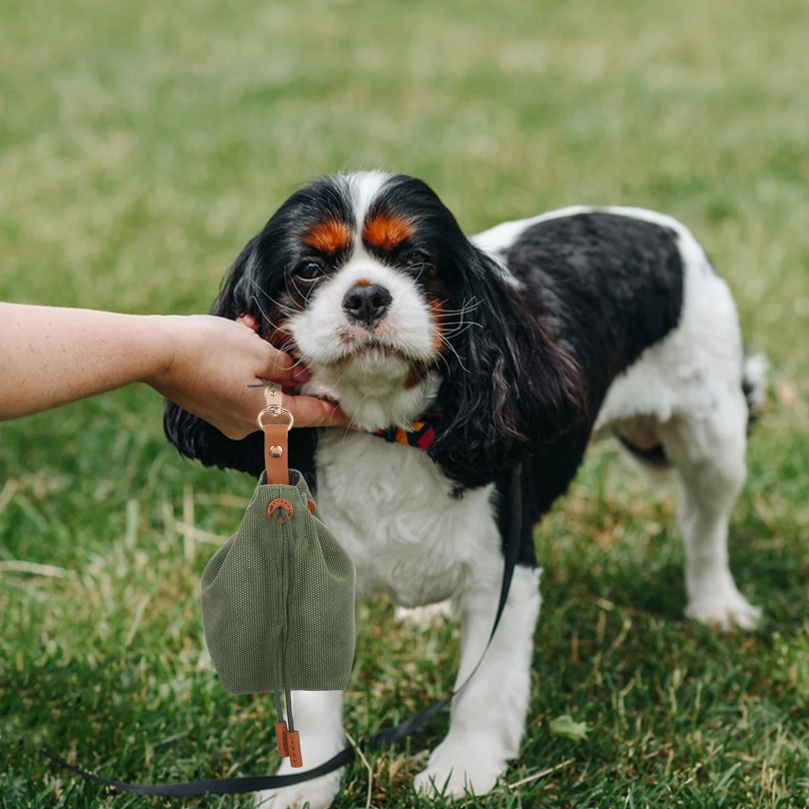 Portable Treat Holder For Leash Canvas Pet Food Storage Bag Large Opening Durable Moisture Resistant Travel Training Pouch
Portable Treat Holder For Leash Canvas Pet Food Storage Bag Large Opening Durable Moisture Resistant Travel Training Pouch
