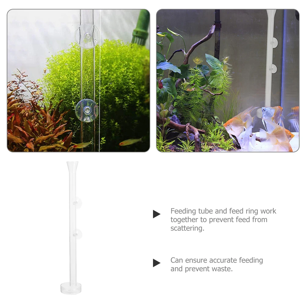 1 set 1 Set Transparent Aquarium Shrimp Feeding Tube Tray Kit Sturdy Acrylic Fish Tool Prevents Waste Durable Tank Accessories
1 set 1 Set Transparent Aquarium Shrimp Feeding Tube Tray Kit Sturdy Acrylic Fish Tool Prevents Waste Durable Tank Accessories