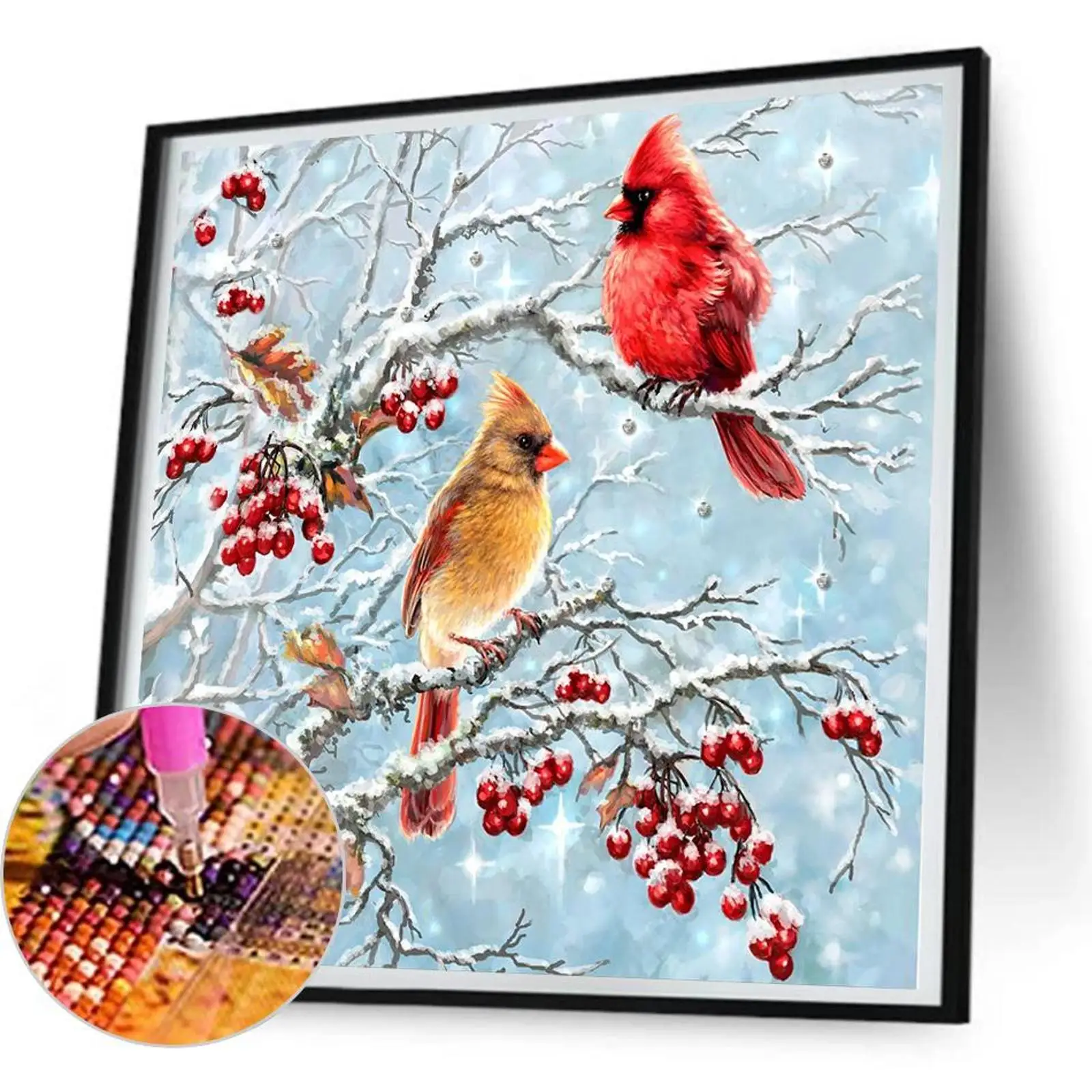 5D DIY Full Round Drill Diamond Painting Cardinal on the Branch Kit Decor30x30cm
5D DIY Full Round Drill Diamond Painting Cardinal on the Branch Kit Decor30x30cm