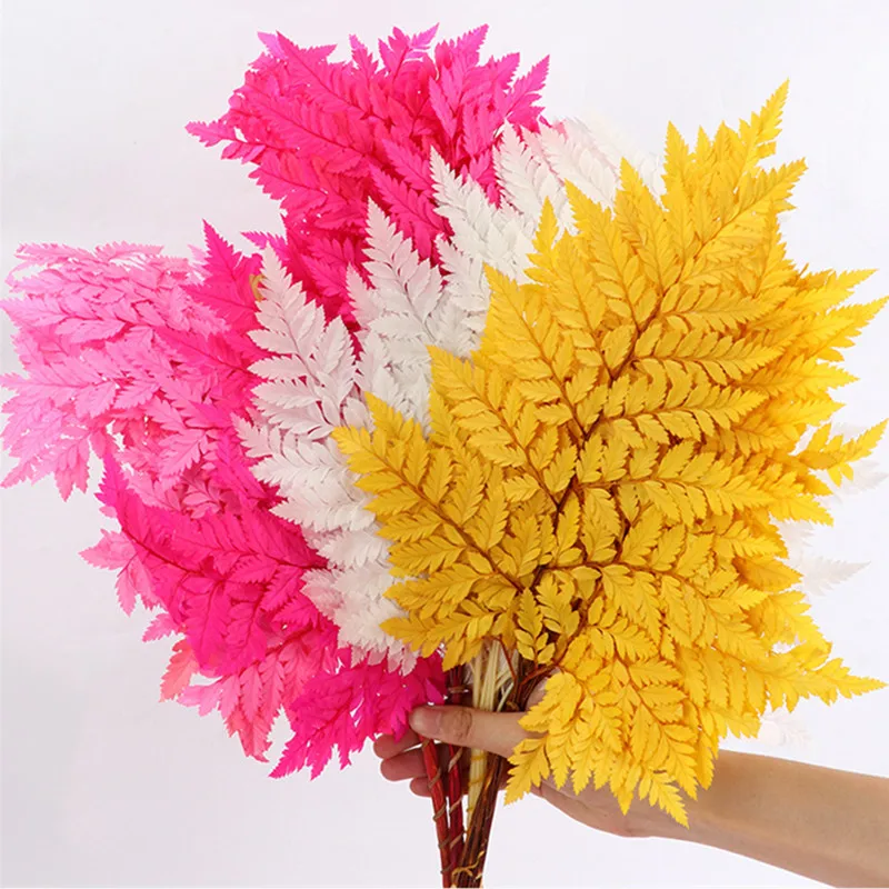 Natural Preserved Flower Fern Leaves, Rustic, Continental, Simple Style Ornament Dried Flowers, Store Decoration
Natural Preserved Flower Fern Leaves, Rustic, Continental, Simple Style Ornament Dried Flowers, Store Decoration