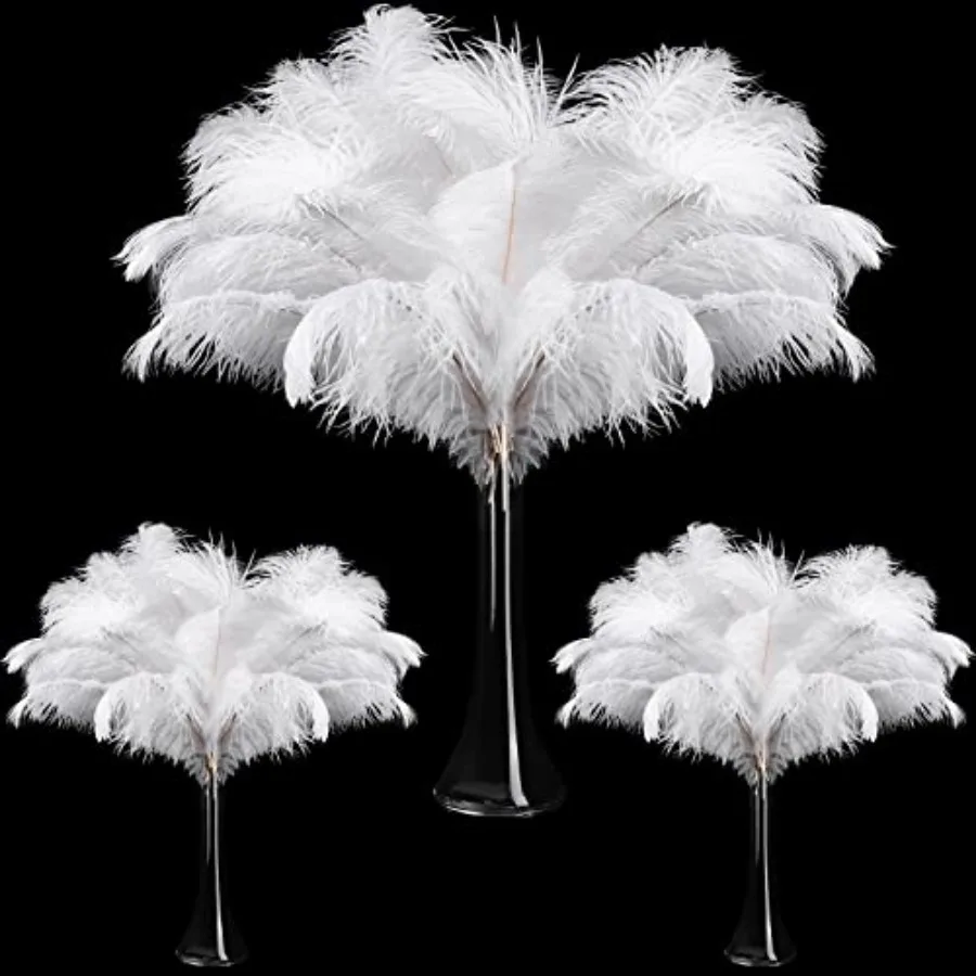 Maitys 90 Pcs Large Natural Ostrich Feathers Bulk 4-6 Inch 35-40cm 2-4 Inch (30-35cm) 0-2 (25-30cm) Ostrich Feathers Plumes for
Maitys 90 Pcs Large Natural Ostrich Feathers Bulk 4-6 Inch 35-40cm 2-4 Inch (30-35cm) 0-2 (25-30cm) Ostrich Feathers Plumes for