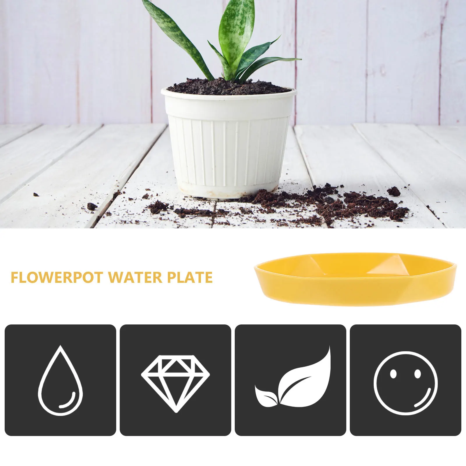 5 Pcs Flower Pot Trays Resin Plant Holders Lightweight Easy Clean Waterproof Bonsai Gardening Accessories Plant Pots Trays
5 Pcs Flower Pot Trays Resin Plant Holders Lightweight Easy Clean Waterproof Bonsai Gardening Accessories Plant Pots Trays