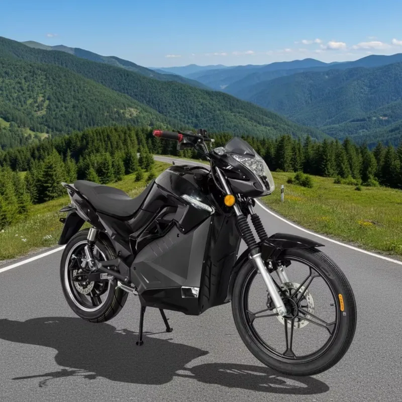 Krono Wild Long Range Electric Motorbike 72V High Power Adult Street Motorcycle For Urban Commuting
Krono Wild Long Range Electric Motorbike 72V High Power Adult Street Motorcycle For Urban Commuting