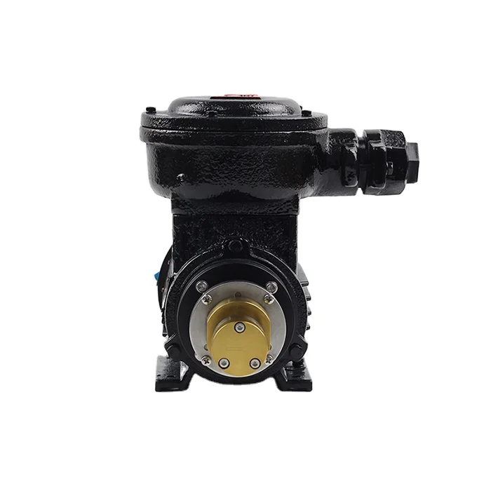 high quality water pump manufacturer AC 220v stainless steel silent food grade mini portable water pump price listts
high quality water pump manufacturer AC 220v stainless steel silent food grade mini portable water pump price listts