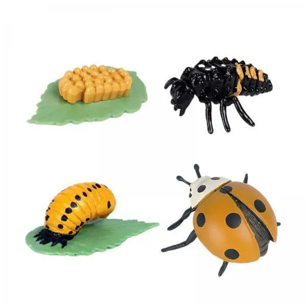 Preschool Montessori Animal Life Cycle Model Realistic Growth Figures Educational Toy for Children Activities
Preschool Montessori Animal Life Cycle Model Realistic Growth Figures Educational Toy for Children Activities