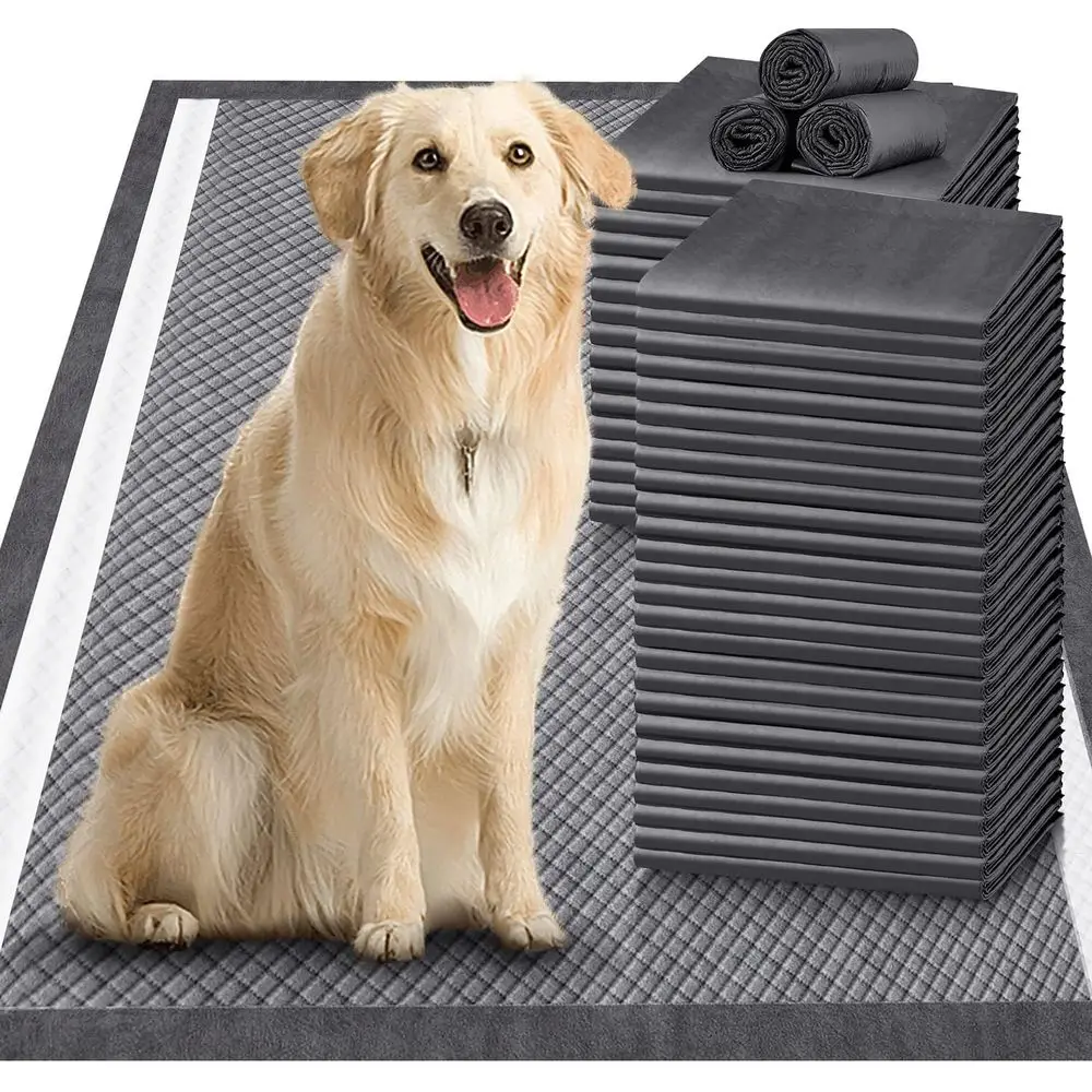 Extra Large XXL Charcoal Odor-Control Dog Training Pads - 9-Layer Thick, Ultra Absorbent, Quick Dry
Extra Large XXL Charcoal Odor-Control Dog Training Pads - 9-Layer Thick, Ultra Absorbent, Quick Dry