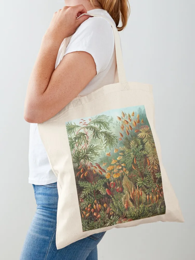 Haeckel Muscinae Drawing Tote Bag tote bag men university shopper bag tote university shopper woman
Haeckel Muscinae Drawing Tote Bag tote bag men university shopper bag tote university shopper woman