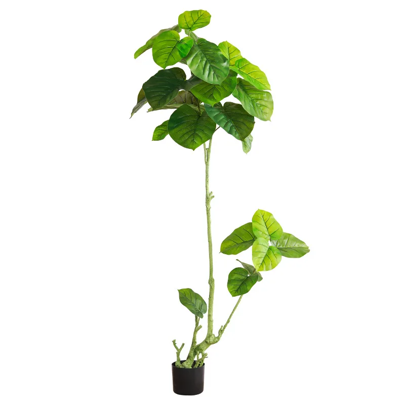 Quiet wind simulation green plant potted large heart leaf fir indoor living room fake bionic decorative flower floor
Quiet wind simulation green plant potted large heart leaf fir indoor living room fake bionic decorative flower floor
