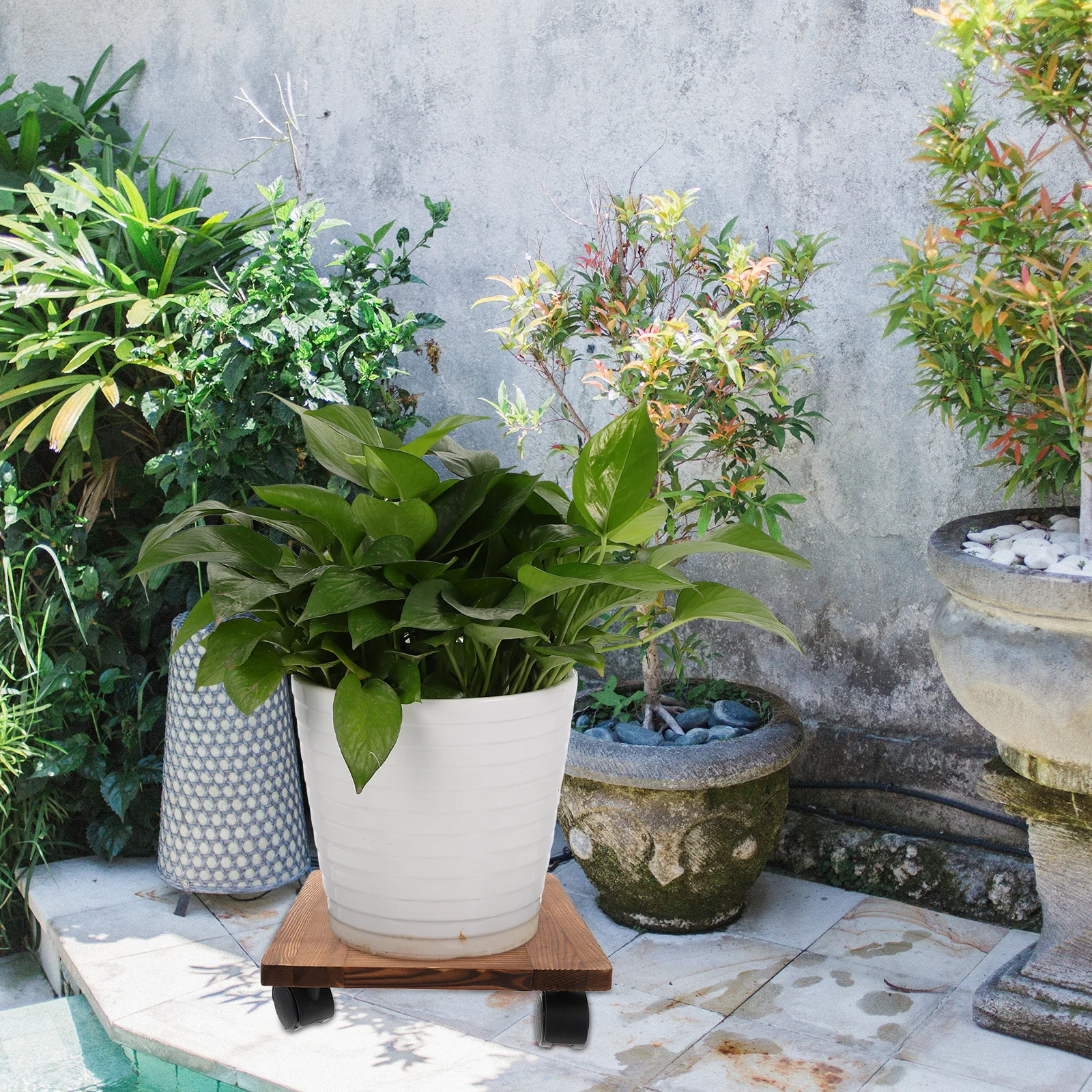 1pc Movable Flowerpot Tray Thickened Hollow Base Plate Strong Load Bearing Universal Wheel For Plant Pot Gardening Supplies
1pc Movable Flowerpot Tray Thickened Hollow Base Plate Strong Load Bearing Universal Wheel For Plant Pot Gardening Supplies