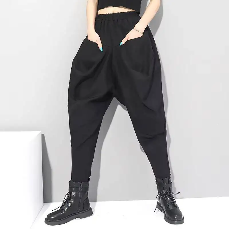 Ladies Harun Pants Spring And Autumn New Elastic Waist Fashion Brand Personality Leisure Large Size Small Foot Pants
Ladies Harun Pants Spring And Autumn New Elastic Waist Fashion Brand Personality Leisure Large Size Small Foot Pants