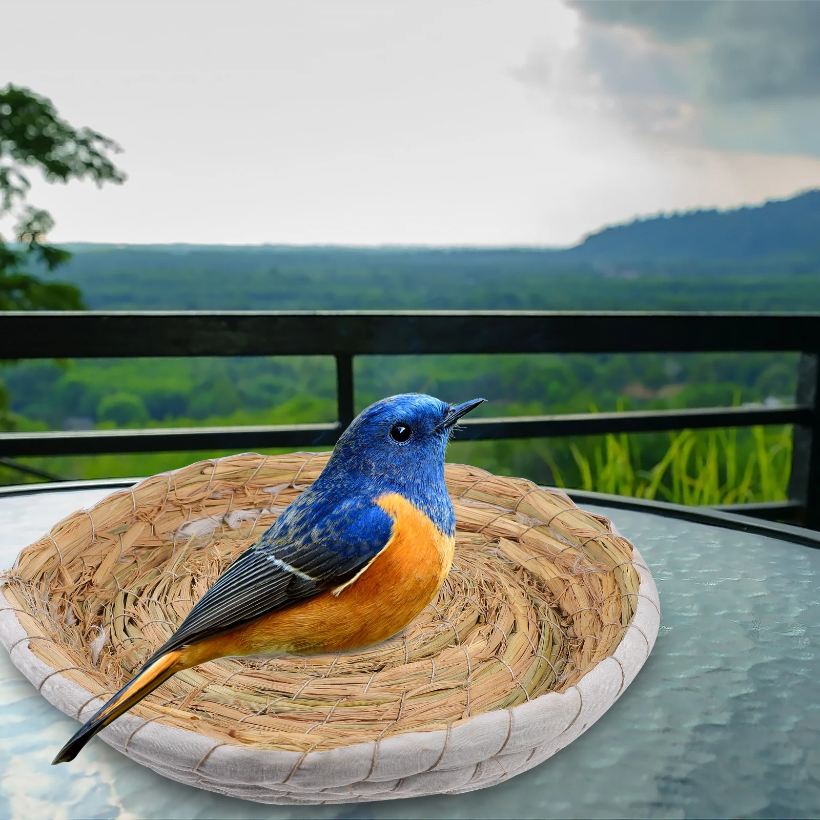 2PCS Straw Bird Nest Warm Hut for Pigeon Pet Eco Friendly Corn Leaves Breathing Keep Warm Practical Summer Winter Pet Supplies
2PCS Straw Bird Nest Warm Hut for Pigeon Pet Eco Friendly Corn Leaves Breathing Keep Warm Practical Summer Winter Pet Supplies