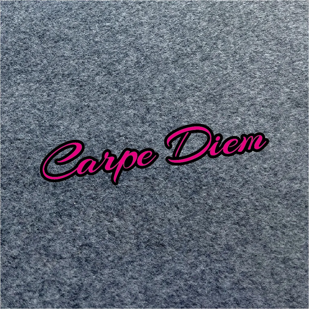 Carpe Diem Cursive Waterproof Vinyl Inspirational Decal in Pink/Black/White for Car, Laptop, Motorcycle & Water Bottle
Carpe Diem Cursive Waterproof Vinyl Inspirational Decal in Pink/Black/White for Car, Laptop, Motorcycle & Water Bottle