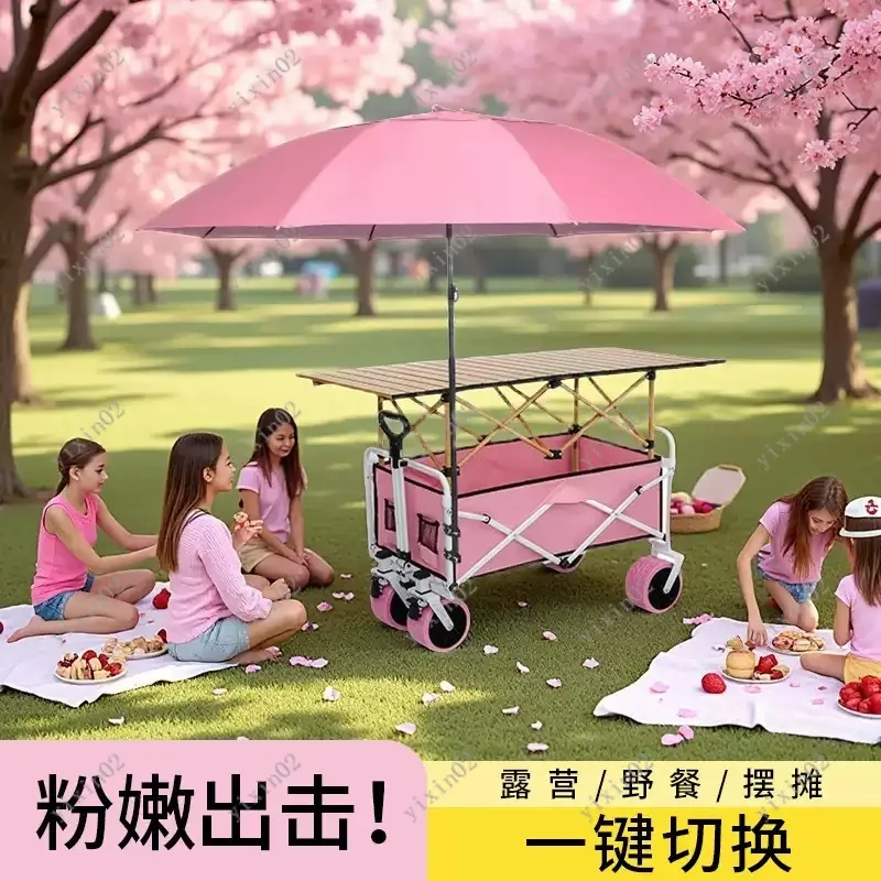 Portable Pink Folding Utility Cart Outdoor Camping Trolley for Picnic Shopping
Portable Pink Folding Utility Cart Outdoor Camping Trolley for Picnic Shopping