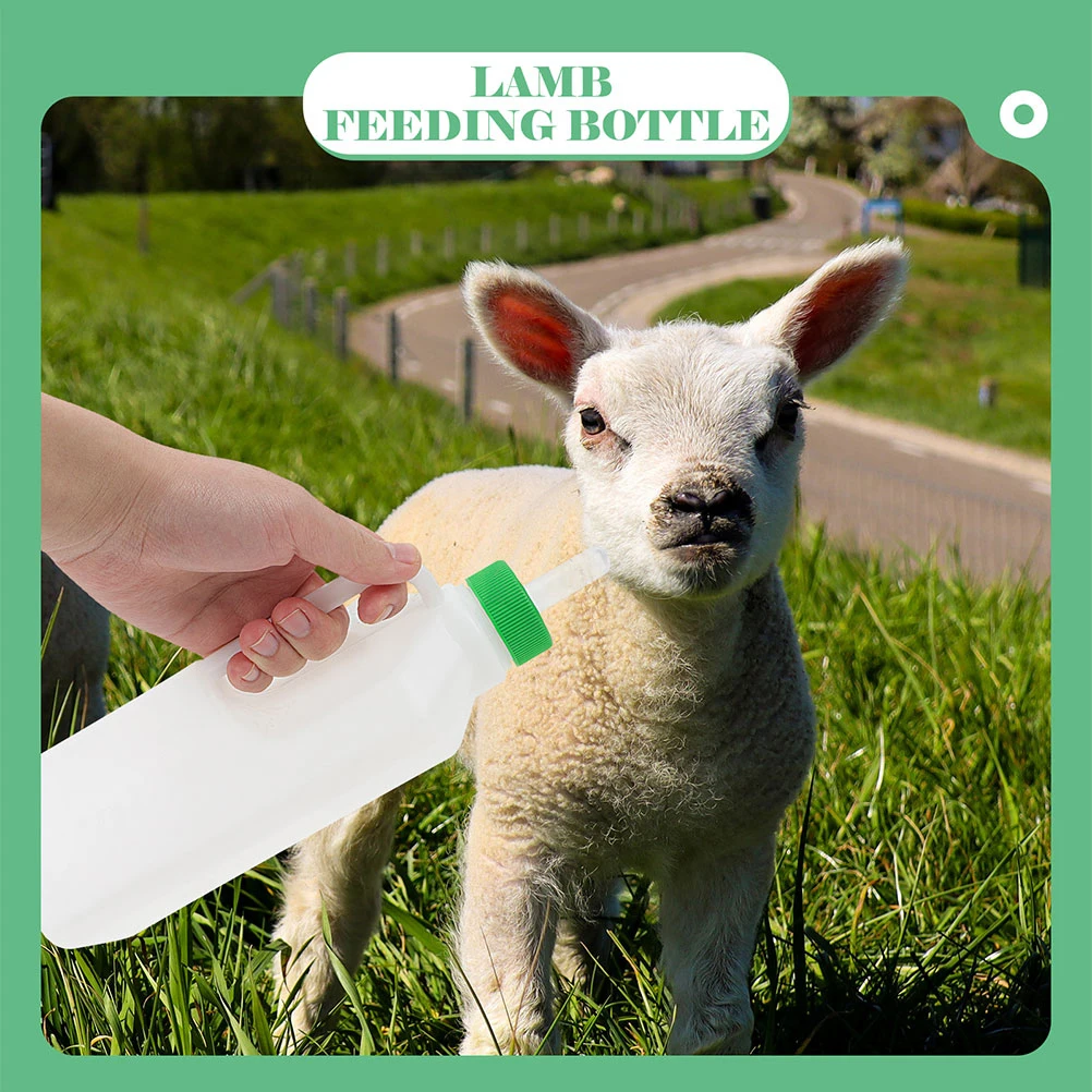 1 set 1 Set850Ml Plastic Silicone Bottle Detachable Pacifier For Calf Lambs Goats Sheep Young Livestock Farm Animal Nursing Cow
1 set 1 Set850Ml Plastic Silicone Bottle Detachable Pacifier For Calf Lambs Goats Sheep Young Livestock Farm Animal Nursing Cow