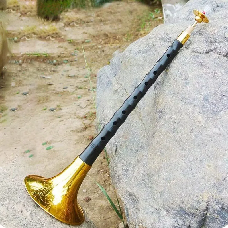 Ebony Beginner Suona Folk Music Performance Suona Horn Adult Children Professional Suonas Chinese Classics Brass Instruments
Ebony Beginner Suona Folk Music Performance Suona Horn Adult Children Professional Suonas Chinese Classics Brass Instruments