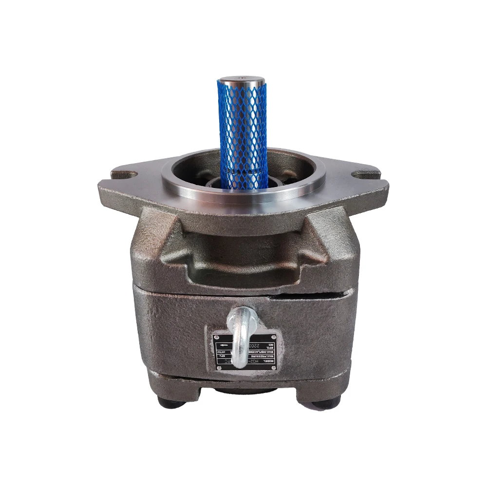 Hengju Hydraulic Pump Manufacturer HG Series HG0 HG1 Hydraulic Internal Gear Pump Hydraulic Oil Pump For Machine
Hengju Hydraulic Pump Manufacturer HG Series HG0 HG1 Hydraulic Internal Gear Pump Hydraulic Oil Pump For Machine
