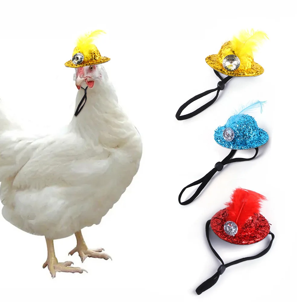 Pet hat chicken or dog chicken supplies for small animals fun hat accessories dress up dogs accessoires
Pet hat chicken or dog chicken supplies for small animals fun hat accessories dress up dogs accessoires