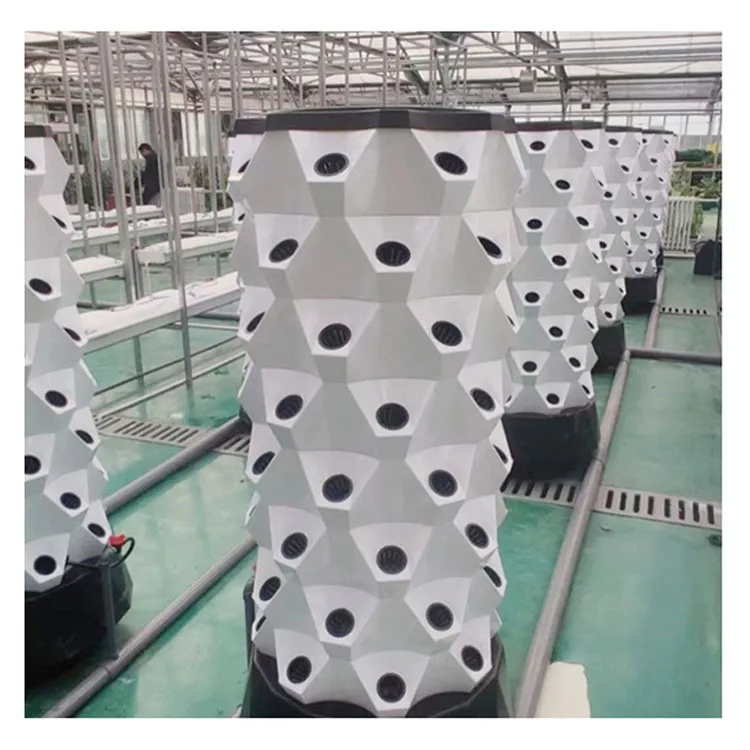 2024 Large Greenhouse Pineapple Aeroponic Planting Tower Hydroponic System for Vegetable Vertical Growing
2024 Large Greenhouse Pineapple Aeroponic Planting Tower Hydroponic System for Vegetable Vertical Growing
