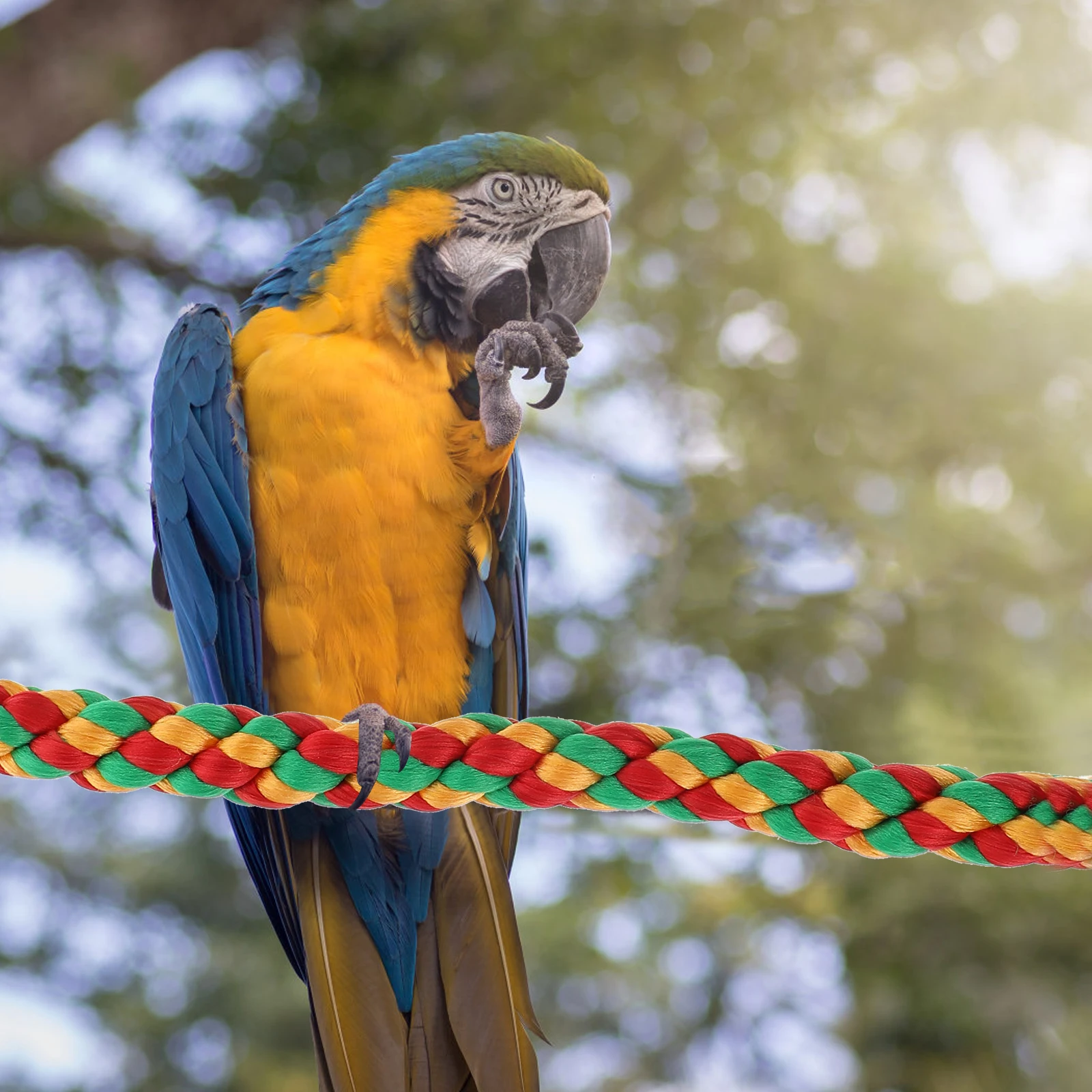 2 pcs Parrot St Set Bird Feeder Cage Accessory Kit Rope Perch Bright Colors Attract Pet MultiPurpose Toys St Bars CottonRope
2 pcs Parrot St Set Bird Feeder Cage Accessory Kit Rope Perch Bright Colors Attract Pet MultiPurpose Toys St Bars CottonRope