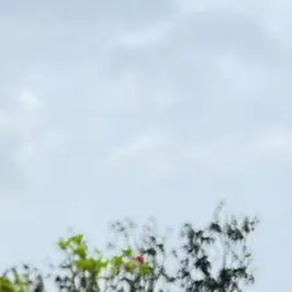 Вязаная сумка на плечо из полиэфирного волокна, большая вместительная женская сумка для покупок, однотонная сумка для подмышек для повседневных покупок, путешествий
Вязаная сумка на плечо из полиэфирного волокна, большая вместительная женская сумка для покупок, однотонная сумка для подмышек для повседневных покупок, путешествий