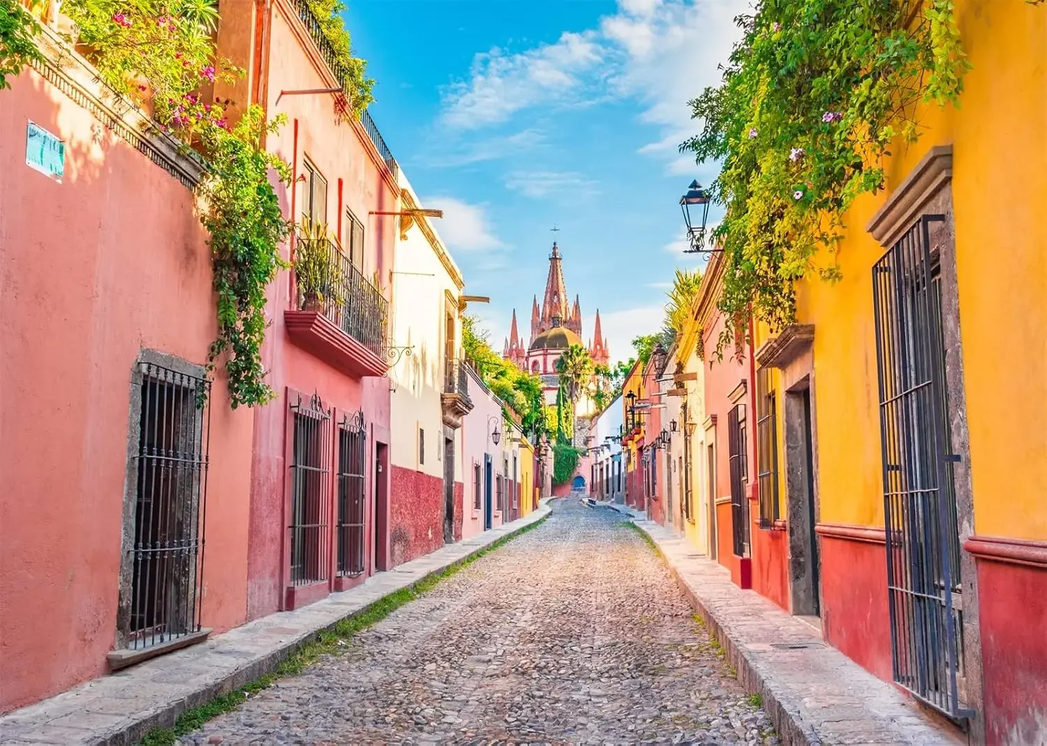 Medieval Town Street Colorful Houses of San Miguel de Allende Mexico Village party photo background photography backdrop studio
Medieval Town Street Colorful Houses of San Miguel de Allende Mexico Village party photo background photography backdrop studio