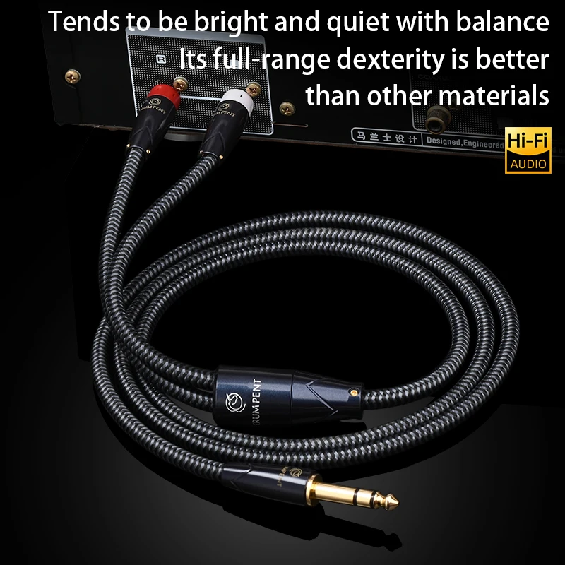 ERUMPENT HiFi Audio Cable 6.5mm to 2RCA for DAC Speaker with 6.5 TRS Jack to 2RCA Male Y Splitter Stereo Aux Cable
ERUMPENT HiFi Audio Cable 6.5mm to 2RCA for DAC Speaker with 6.5 TRS Jack to 2RCA Male Y Splitter Stereo Aux Cable