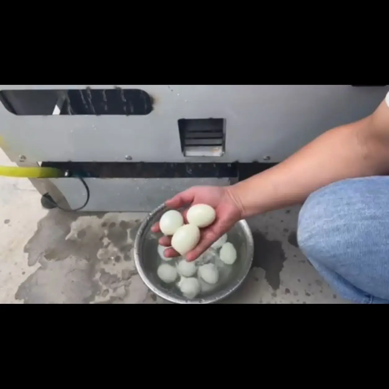 Commercial Eggs Peeler Boiled Egg Shell Peeling Machine
Commercial Eggs Peeler Boiled Egg Shell Peeling Machine