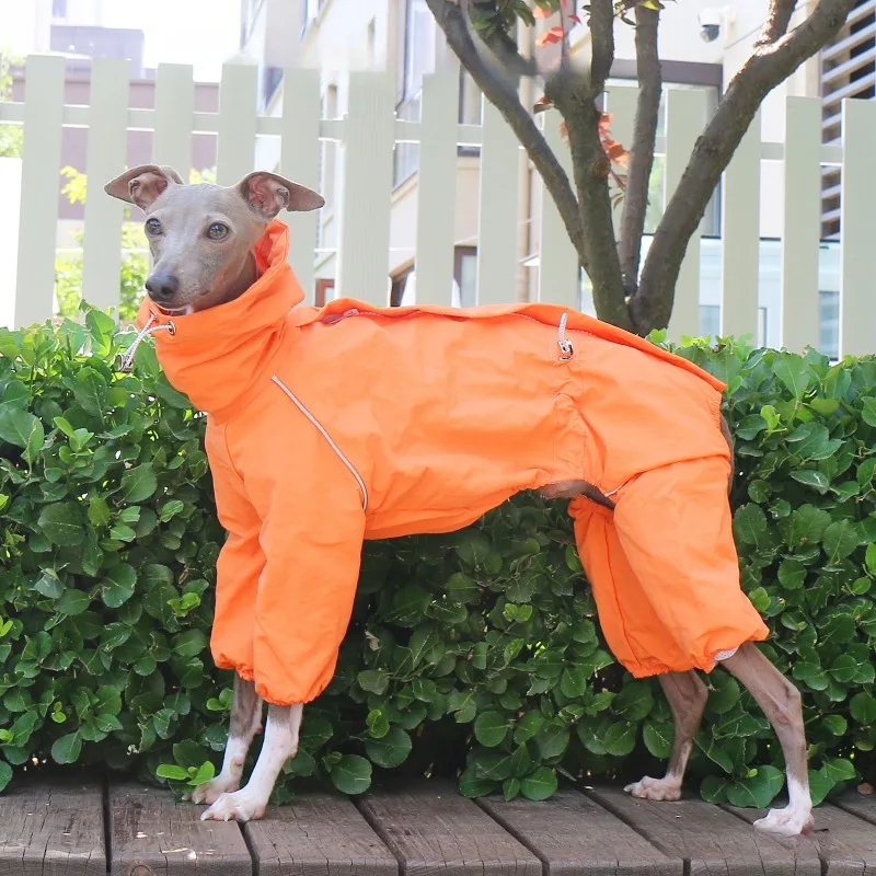 Spring Autumn Waterproof Dog Clothes Greyhound Luxury Designer Coats Whippet Adjustable High Collar with Zipper Dog Clothes
Spring Autumn Waterproof Dog Clothes Greyhound Luxury Designer Coats Whippet Adjustable High Collar with Zipper Dog Clothes