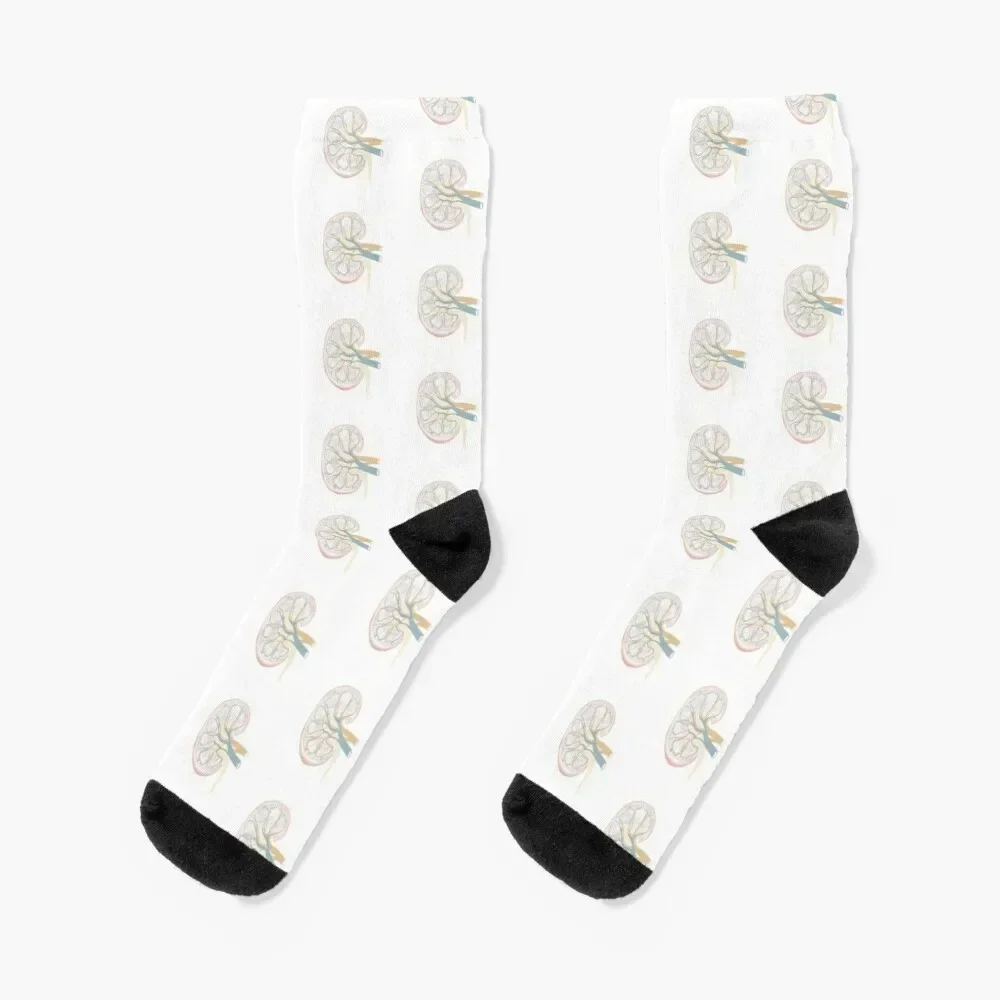 Nephrology Artwork Socks bright garter Stockings man snow warm winter Mens Socks Women's
Nephrology Artwork Socks bright garter Stockings man snow warm winter Mens Socks Women's