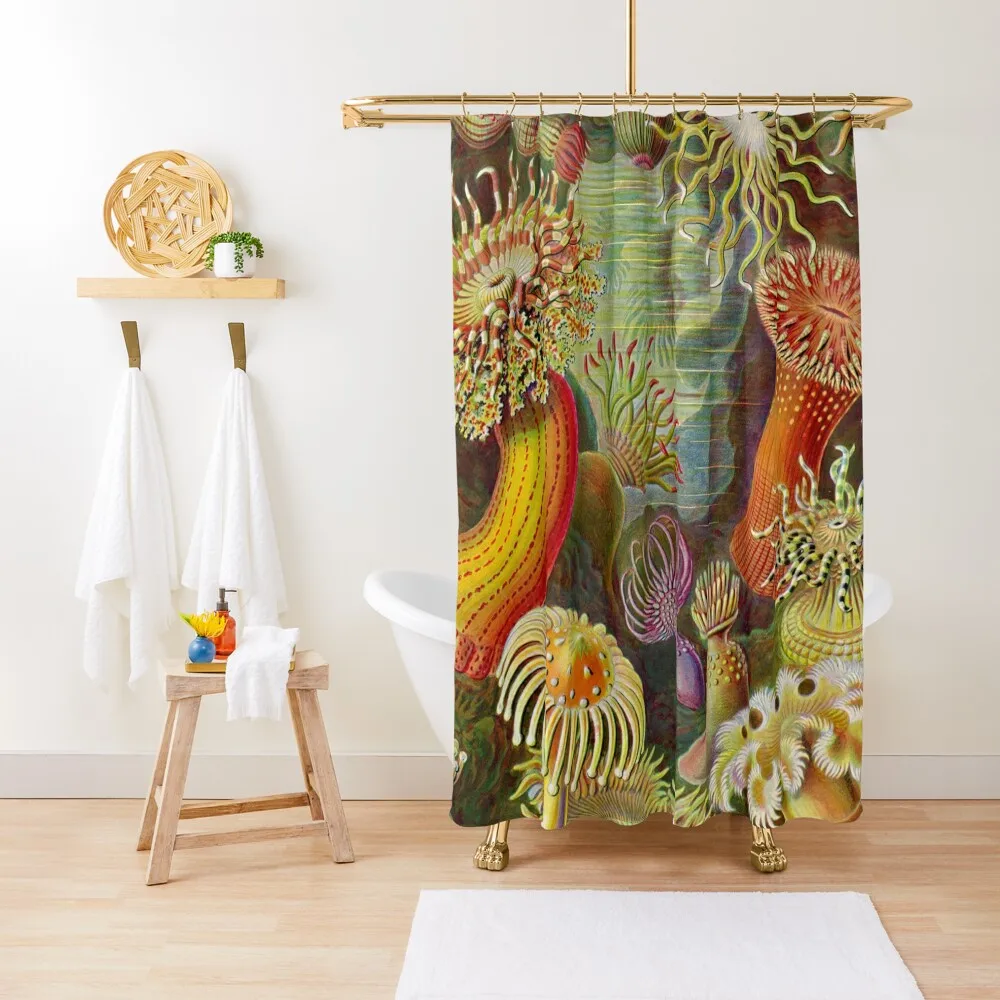 Vintage Sealife Underwater Shower Curtain For Bathrooms With Beautiful Designs Waterproof Shower Curtain
Vintage Sealife Underwater Shower Curtain For Bathrooms With Beautiful Designs Waterproof Shower Curtain