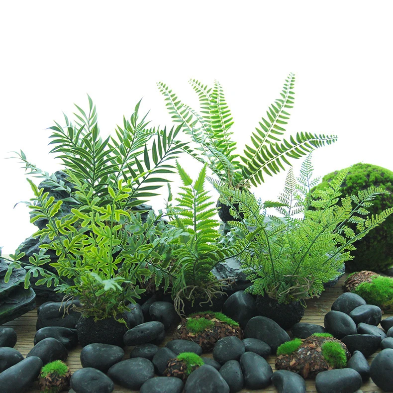 Artificial Fern Small Pot Handmade Fake Jue Tree Green Plant Pot Jingsen Landscape Tabletop Decoration Small Artificial Plants
Artificial Fern Small Pot Handmade Fake Jue Tree Green Plant Pot Jingsen Landscape Tabletop Decoration Small Artificial Plants