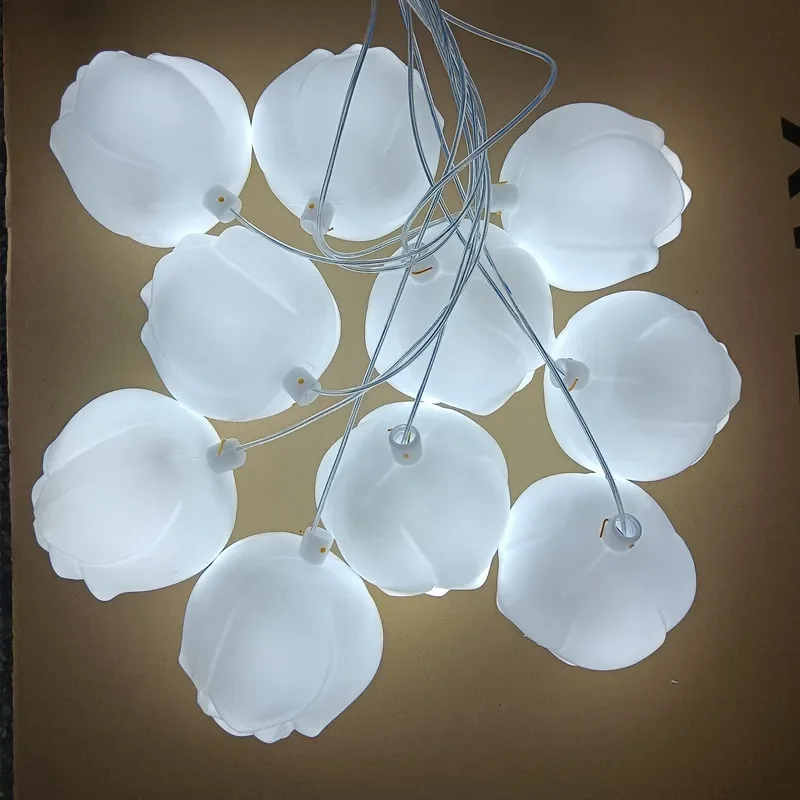 New wedding ceiling decorative lights, glowing tulips, white light, warm light, wedding hall stage, road leading, welcome area
New wedding ceiling decorative lights, glowing tulips, white light, warm light, wedding hall stage, road leading, welcome area