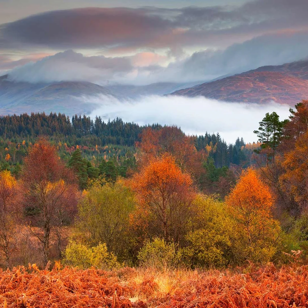 Для Jeep Wrangler 2010-2017 сенсорный экран радио автомобильный мультимедийный плеер авто GPS DVD навигация головное устройство Carplay 256G Android 13
Для Jeep Wrangler 2010-2017 сенсорный экран радио автомобильный мультимедийный плеер авто GPS DVD навигация головное устройство Carplay 256G Android 13