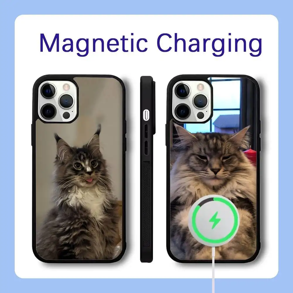 Maine Coon Cat Phone Case For iPhone 16,15,14,13,12,11,Pro,Max,Plus,Mini,SE Magsafe Magnetic Wireless Charging
Maine Coon Cat Phone Case For iPhone 16,15,14,13,12,11,Pro,Max,Plus,Mini,SE Magsafe Magnetic Wireless Charging