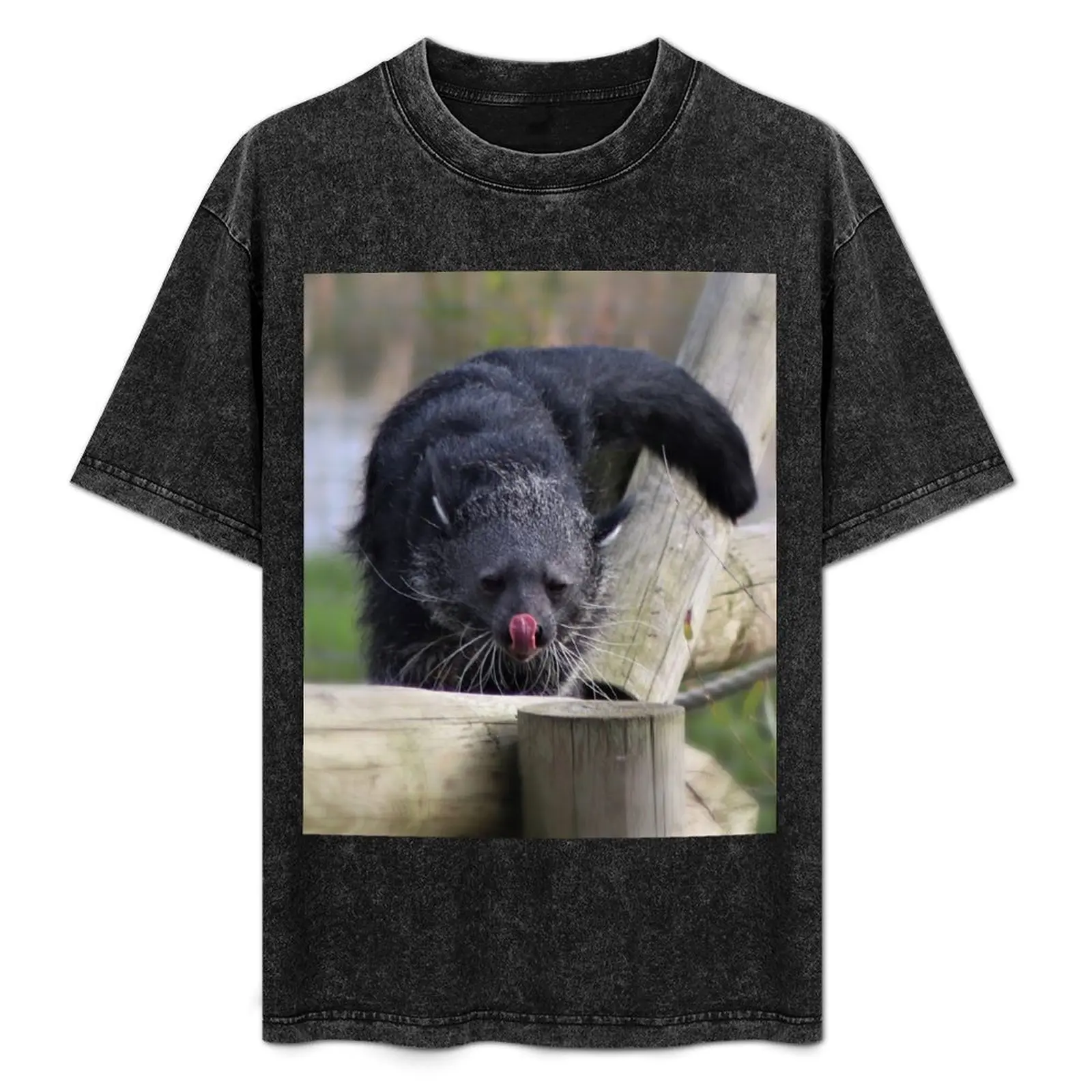 Binturong Blep T-Shirt graphics blanks graphic t shirt vintage mens graphic t-shirts
Binturong Blep T-Shirt graphics blanks graphic t shirt vintage mens graphic t-shirts