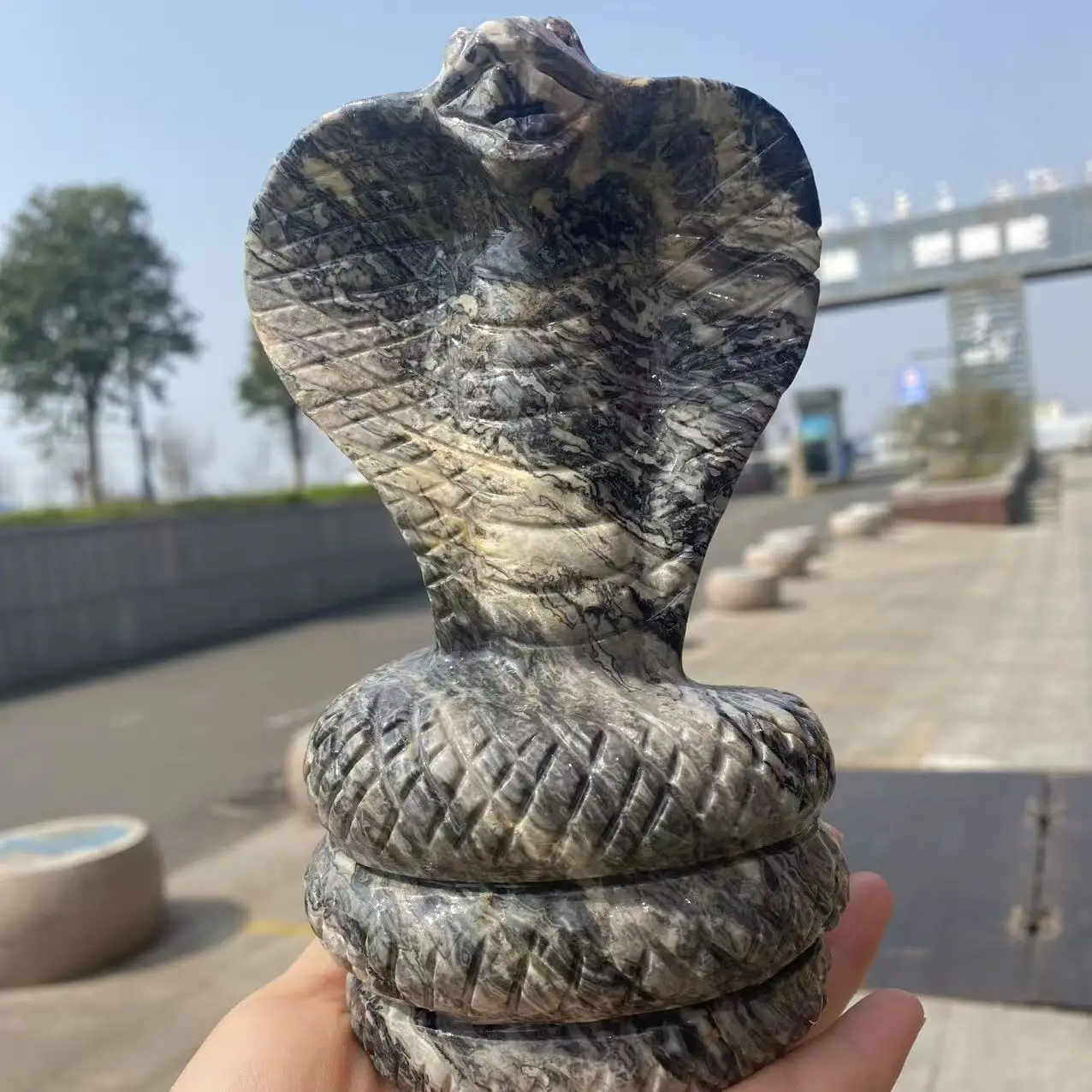 Natural Picasso Crystal Quartz Carved Snake, With Healing Properties, Suitable For Home And Office Decoration, Purification, As
Natural Picasso Crystal Quartz Carved Snake, With Healing Properties, Suitable For Home And Office Decoration, Purification, As