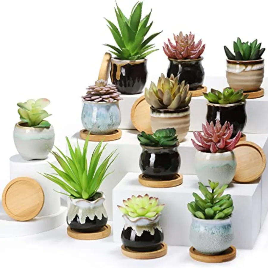 Pcs Small Succulent Pots Bulk with Drainage Assorted Mini Ceramic Succulent Planters Pot with Coaster Bamboo Plant Tray Plantin
Pcs Small Succulent Pots Bulk with Drainage Assorted Mini Ceramic Succulent Planters Pot with Coaster Bamboo Plant Tray Plantin