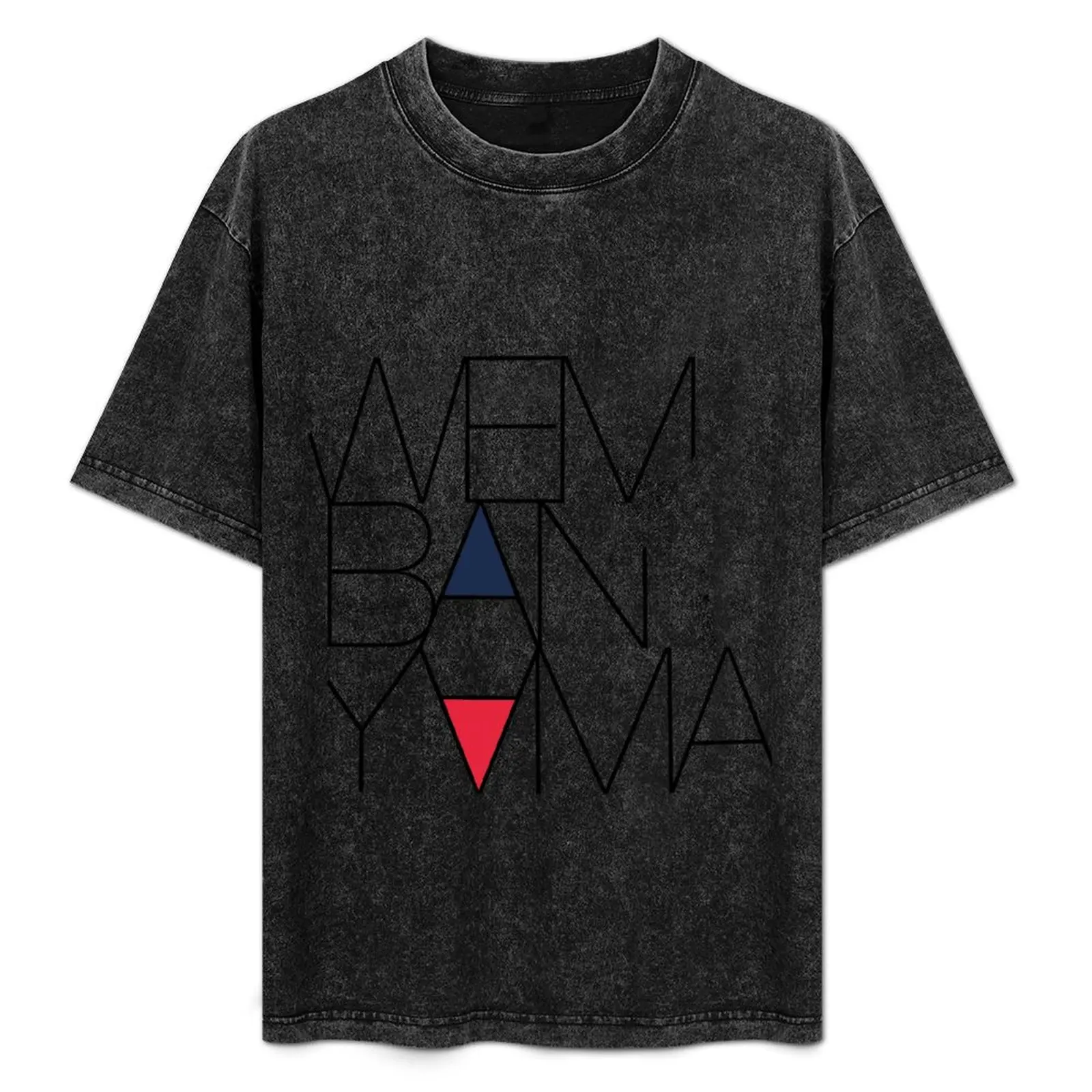 Wembanyama (France) T-Shirt
Wembanyama (France) T-Shirt