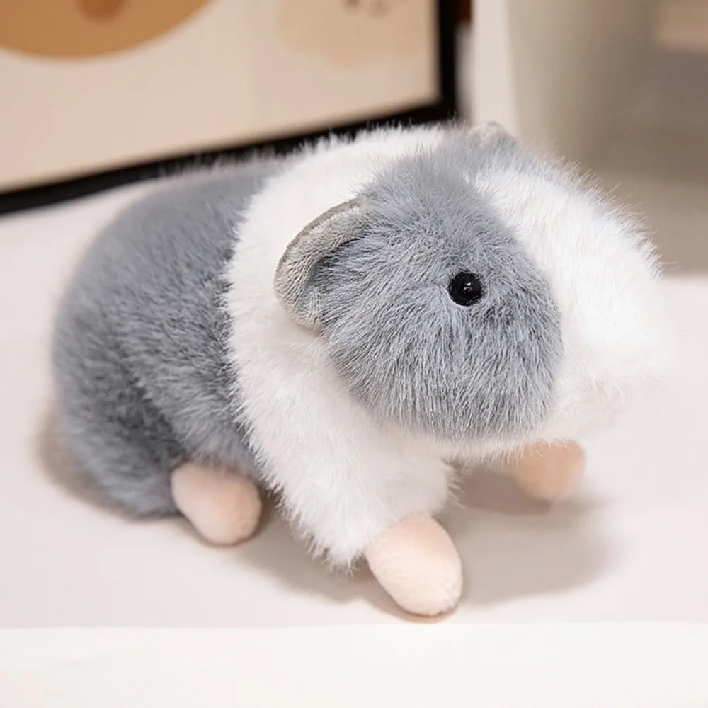 Room Decoration Simulation Mini Dutch Pig Stuffed Soft Guinea Pig 15/20cm Funny Pig Throw pillow Girl Boy
Room Decoration Simulation Mini Dutch Pig Stuffed Soft Guinea Pig 15/20cm Funny Pig Throw pillow Girl Boy