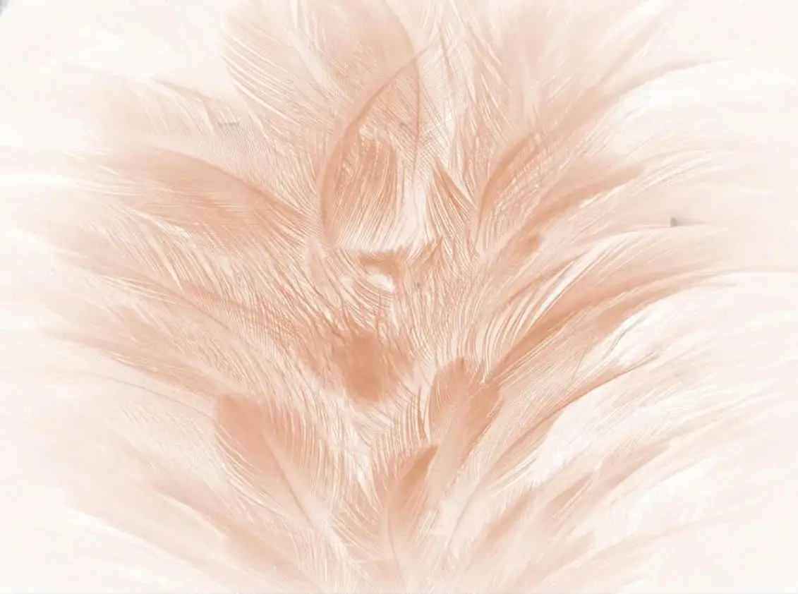 Custom size wallpaper photo beautiful pink flamingo feather TV sofa wall home decoration living room bedroom mural 3d wallpaper
Custom size wallpaper photo beautiful pink flamingo feather TV sofa wall home decoration living room bedroom mural 3d wallpaper