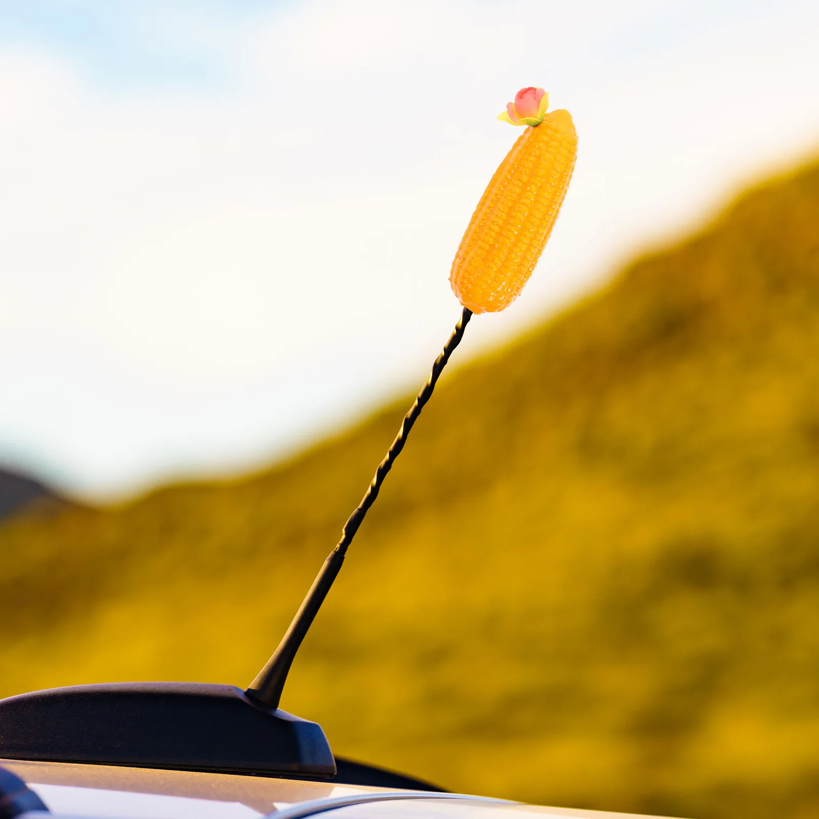 Car Antenna Decoration Toppers Balls for Cars Funny Accessories Exterior Plastic Truck
Car Antenna Decoration Toppers Balls for Cars Funny Accessories Exterior Plastic Truck