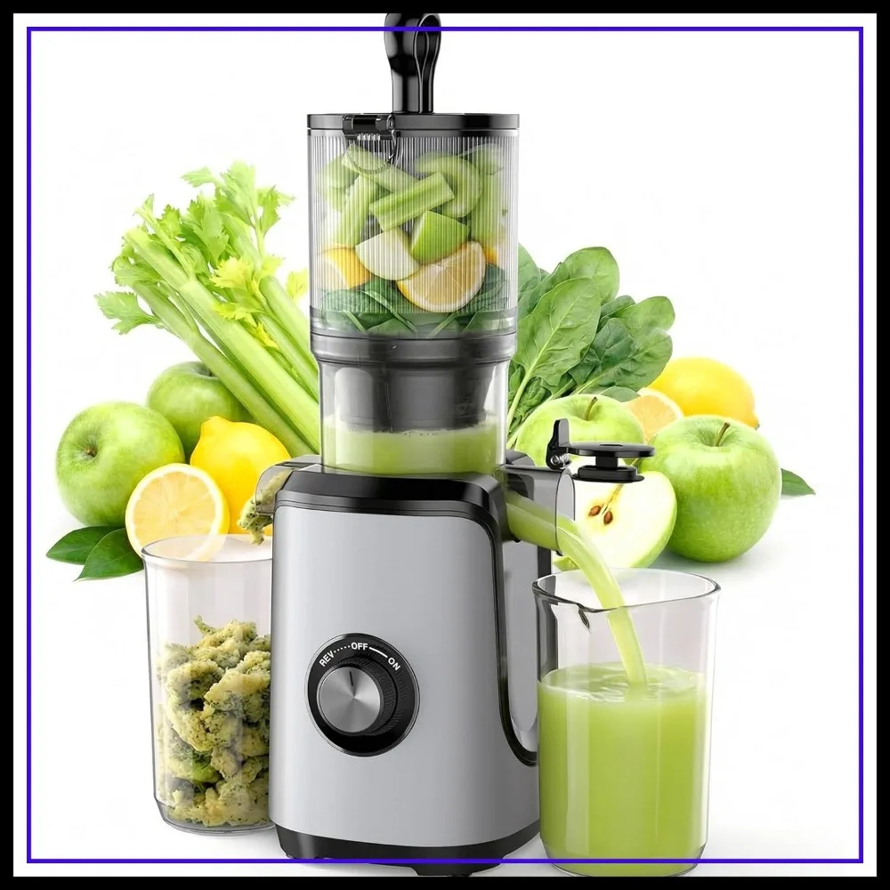 Cold Press Juicer Machine, Masticating Slow Juicer for Vegetables Fruits, High Juice Yield, Reverse Function, Easy Clean, Silver
