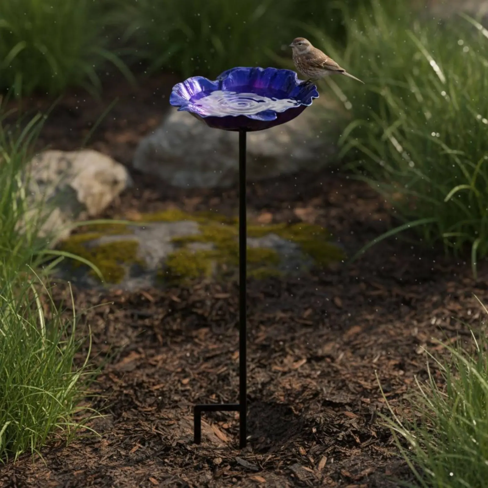 Bird Waterer Glossy Finish Garden Stake for Backyard
Bird Waterer Glossy Finish Garden Stake for Backyard