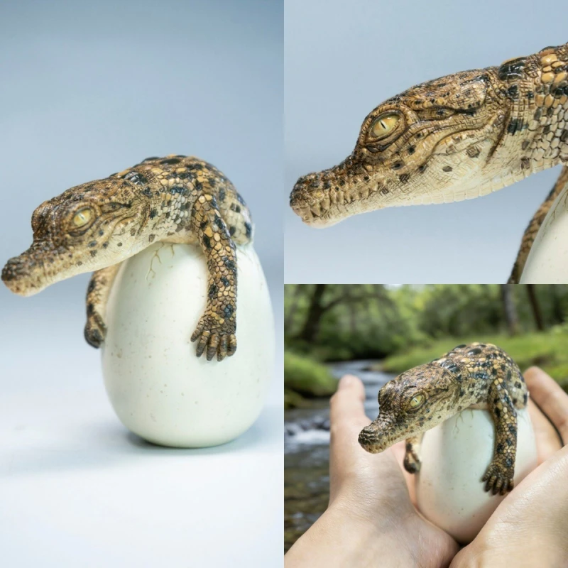 JXK Hatched Crocodile Model Simulated Wild Animal Figurine Realistic Statue Desktop Ornament Collectible Gift For Collectors
JXK Hatched Crocodile Model Simulated Wild Animal Figurine Realistic Statue Desktop Ornament Collectible Gift For Collectors