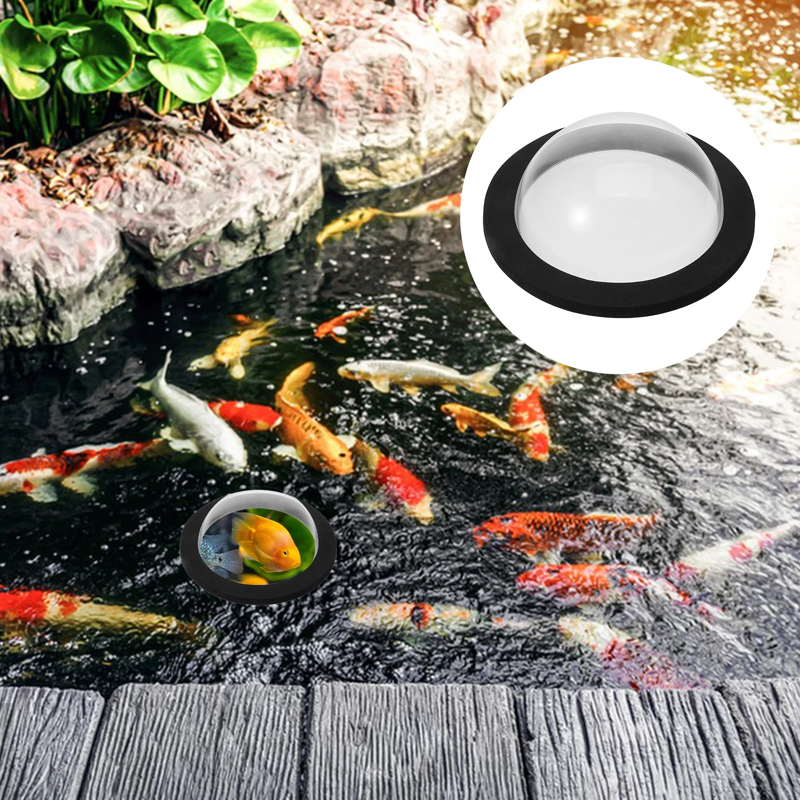 Pond Floating Cover Fish Dome Clear Acrylic Display Garden Pool Accessories Transparent EVA Material Waterproof Outdoor Habitat
Pond Floating Cover Fish Dome Clear Acrylic Display Garden Pool Accessories Transparent EVA Material Waterproof Outdoor Habitat
