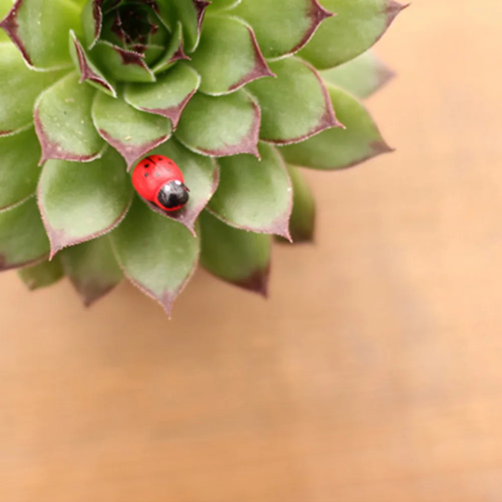 50 Pcs Ladybug Tabletop Crafts Ornaments High Quality Office Decoration Kids Room Gift Tabletop Crafts
50 Pcs Ladybug Tabletop Crafts Ornaments High Quality Office Decoration Kids Room Gift Tabletop Crafts