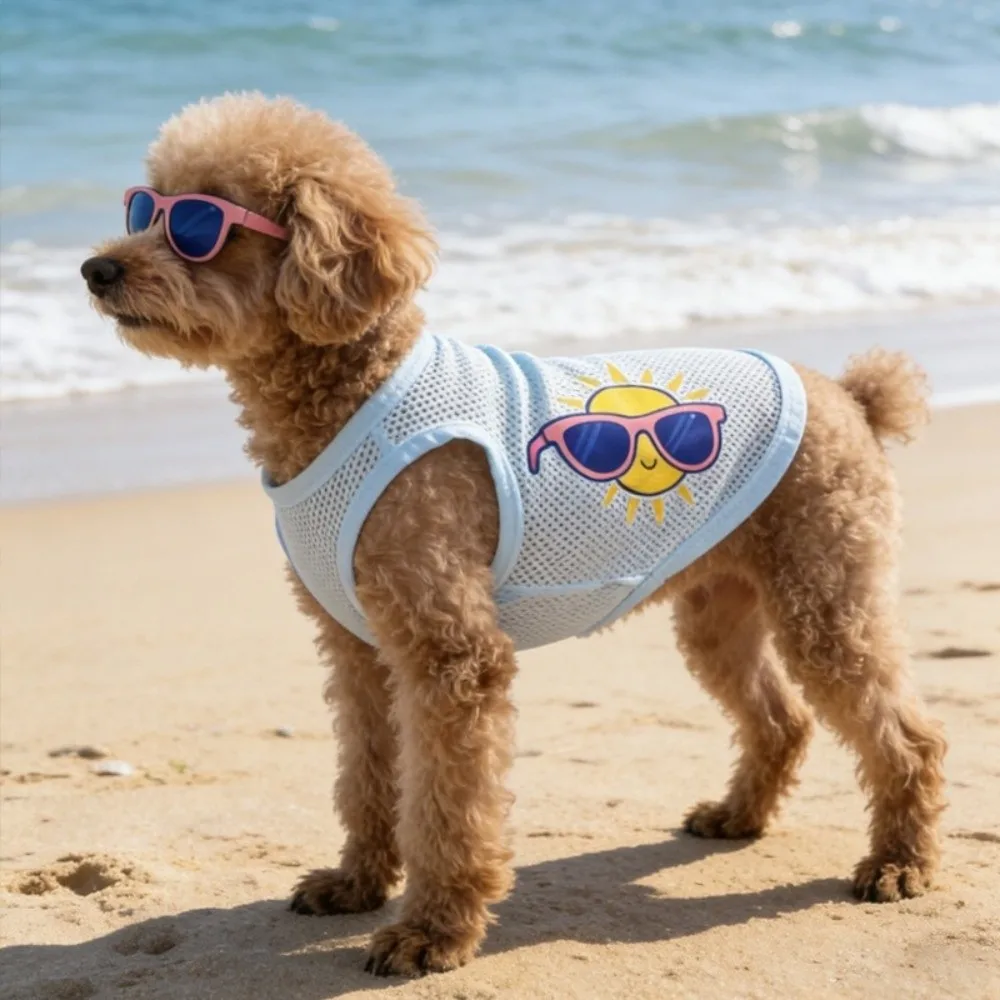 Thin Breathable Mesh Dog Vest Cooling Round Neck Dog Summer Clothes Comfortable Fit Soft Fabric Dog Sunscreen Vest Casual Outfit
Thin Breathable Mesh Dog Vest Cooling Round Neck Dog Summer Clothes Comfortable Fit Soft Fabric Dog Sunscreen Vest Casual Outfit
